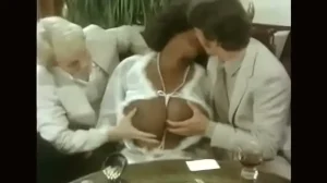 CCC Embassy Affair Rare English Dub